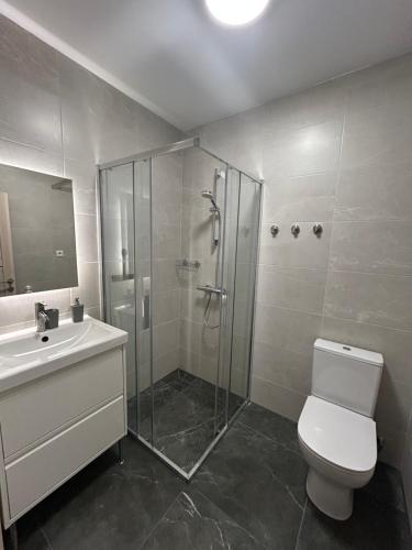 Un baño con ducha, inodoro y lavabo. en Kastycio 6a, en Palanga