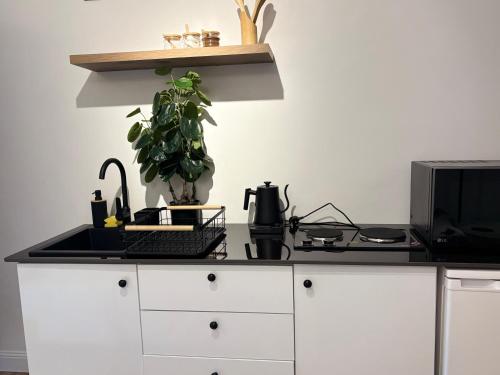 a kitchen counter with a plant and a microwave at Iris by kisali in Dar es Salaam