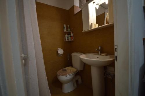 a small bathroom with a toilet and a sink at Avlonari Evias flat in the Central Square in Avlonárion