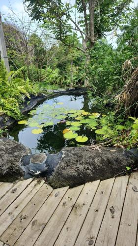 a pond with water lilies and a wooden deck at Hacienda Siesta Alegre in Rio Grande