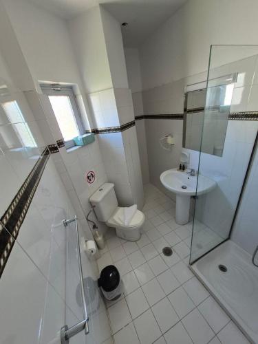 a bathroom with a toilet and a shower and a sink at Maritina Apartments in Ixia