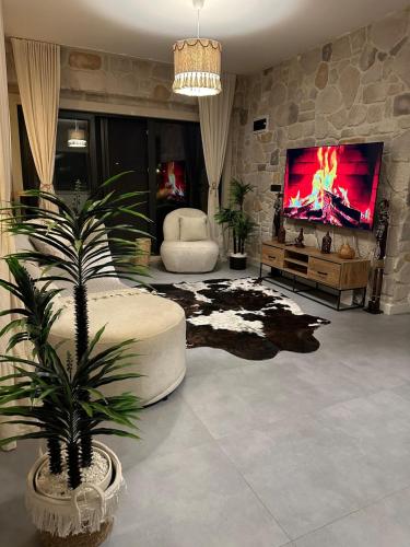 Μια τηλεόραση ή/και κέντρο ψυχαγωγίας στο MedaSuite Stone House with Detached Pool