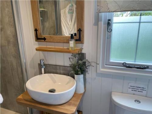 a bathroom with a white sink and a mirror at Romantic Shepherds Hut with Hot Tub, Rural Cheshire in Baddiley