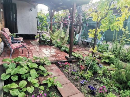 Ein Garten an der Unterkunft Căsuța din grădină