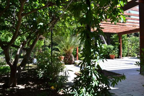 a garden with trees and a wooden pavilion at Porticciolo in San Vito