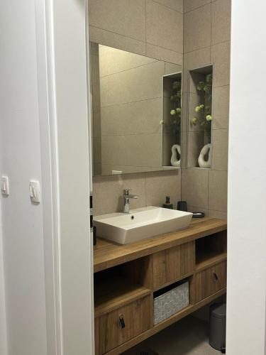 Apartment V