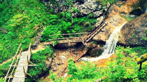 a view of a waterfall and a wooden bridge at Počitniška hiška Kašta in Luče