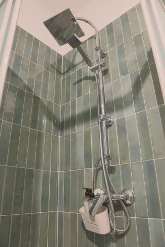 a shower with a cat in a basket in a bathroom at Casale Trifoglio in Morano Calabro