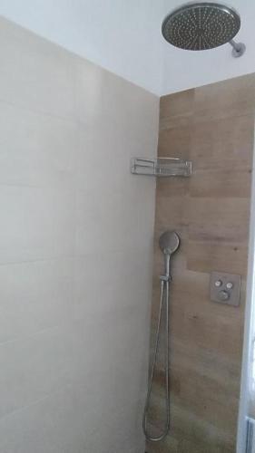a shower in a bathroom with a shower head at Ubytování Na Kovárně in Smržovka