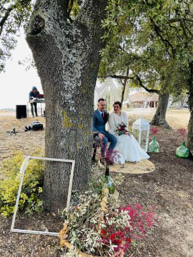 a bride and groom sitting next to a tree at Can Ollé in Rubio