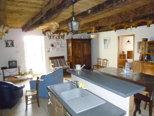 eine Küche mit einem Waschbecken und ein Wohnzimmer in der Unterkunft Gîte à la ferme in Pachins