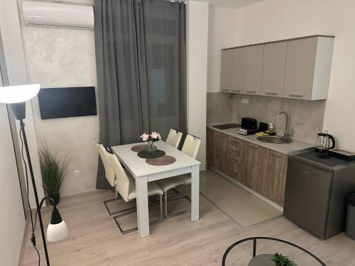 Kuchyň nebo kuchyňský kout v ubytování Apt 2- Sokobanjica apartmani