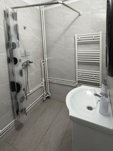 a white bathroom with a shower and a sink at Alexander Home in Techirghiol