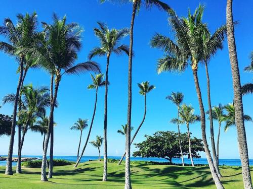 a group of palm trees on the beach at Relaxing Paradise Getaway in Kapolei
