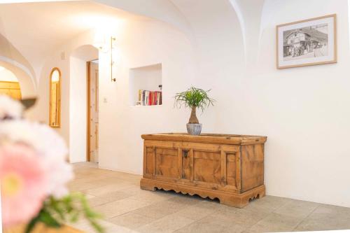 a room with a table with a potted plant on it at Chesa Michel in Bever