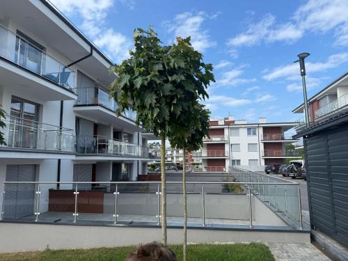a tree in the courtyard of a building at Klifowa Apartament Premium in Rewal