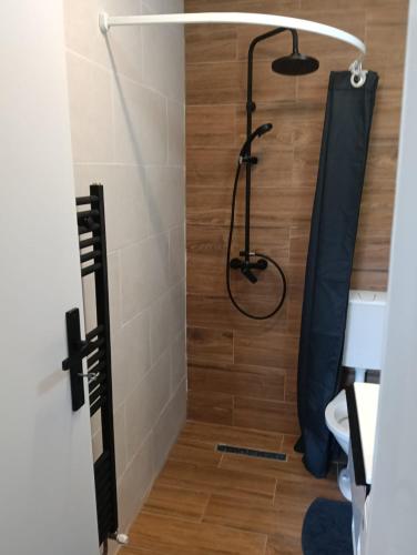 a shower in a bathroom with a wooden floor at Spital 1 camera in Târgu-Mureş