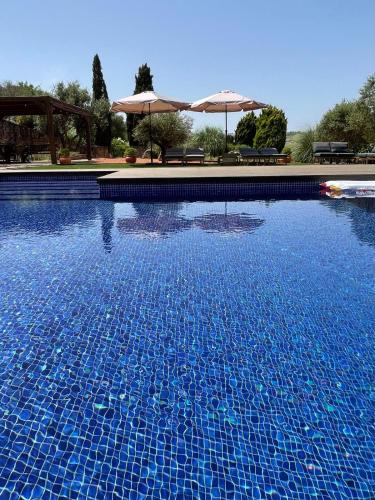 a large blue swimming pool with two umbrellas at Pomar da Choca Country House in Alenquer