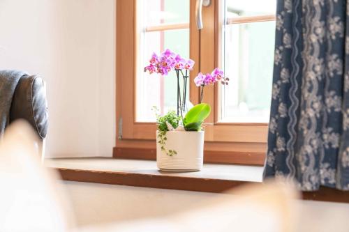 a potted plant sitting on a window sill at Chesa Michel in Bever