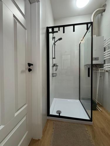 a shower with a glass door in a bathroom at Apartament Zielona Kamienica in Koszalin