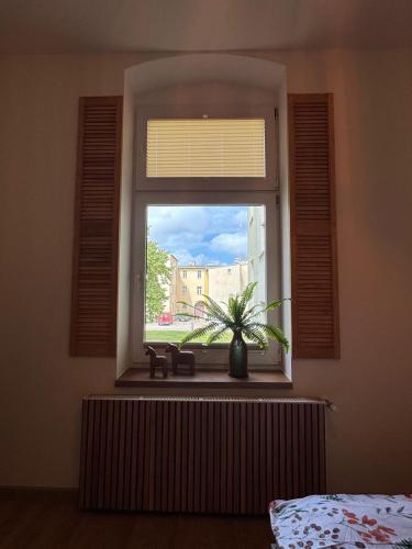 a window with a potted plant in a bedroom at Apartament Zielona Kamienica in Koszalin