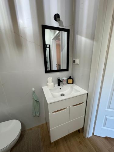a bathroom with a white sink and a mirror at Apartament Zielona Kamienica in Koszalin