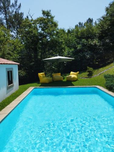 a large blue swimming pool in a yard at Casa do Costeiro by AlmaStay in Gondufe