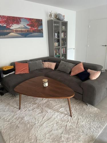 ein Wohnzimmer mit einem Sofa und einem Couchtisch in der Unterkunft Cozy apartment with garden, massage in Romainville