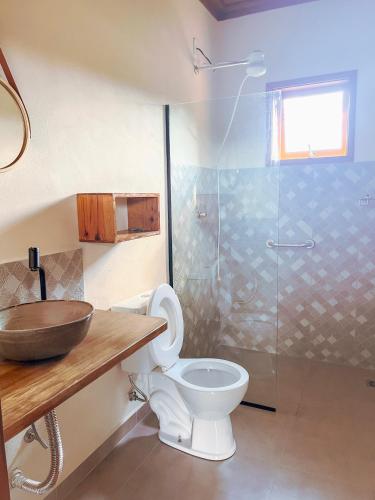 a bathroom with a sink and a toilet and a shower at Hospedagem Fernandes Cunha, SP in Cunha