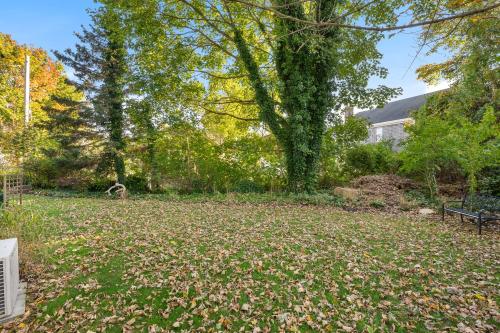 a yard with leaves on the ground with a bench at Babes Bungalow by Leavetown Vacations in Orleans
