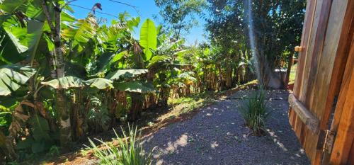 Taman di luar Cabañas los Bananos