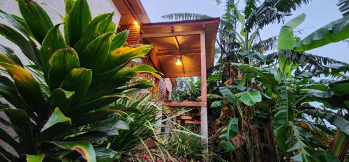Taman di luar Cabañas los Bananos