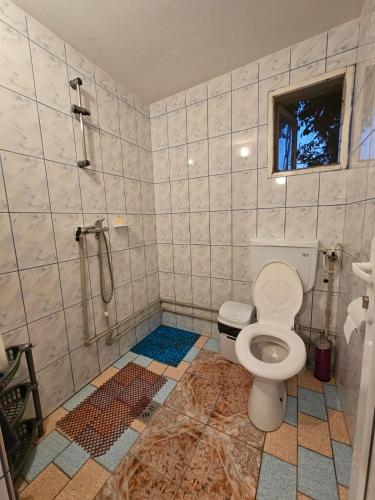 a bathroom with a shower and a toilet in it at Ofidaki Glamping in Vama Veche