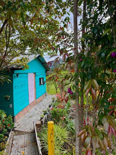 a blue building in the middle of a garden at Ana Cereza Chalet in Nuevo Colón