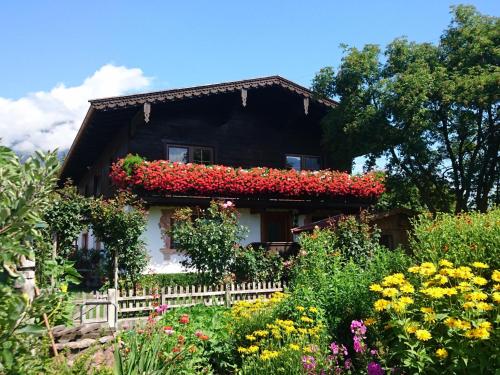 Κήπος έξω από το Schleicherhof IV