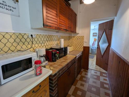 une cuisine avec un comptoir avec un micro-ondes dans l'établissement Gîte indépendant avec terrasse et accès direct au lac - FR-1-590-223, à Dampierre-en-Burly