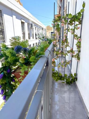 JARA HOME Malaga Centro