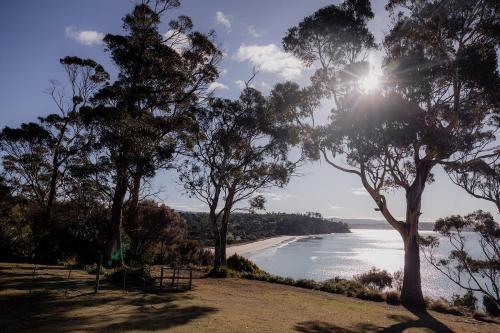 a view of a beach with trees and the sun at Cliff-Top Retreat Ocean Views in Spring Beach