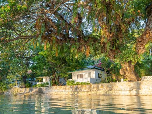 a tree hanging over the water with a house at The Three P Beach Resort & Dive Center in Romblon