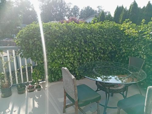 a patio with a table and chairs and a hedge at Bed And Breakfast In Fraser Valley R2 - R3 in Abbotsford