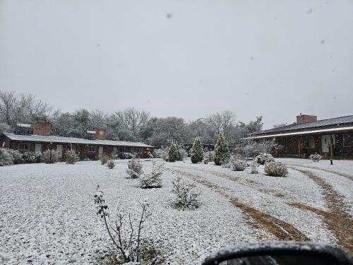 a yard covered in snow with trees and bushes at cabañas Villa de las rosas in Villa de Las Rosas