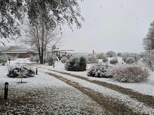 a snow covered garden with bushes and trees at cabañas Villa de las rosas in Villa de Las Rosas