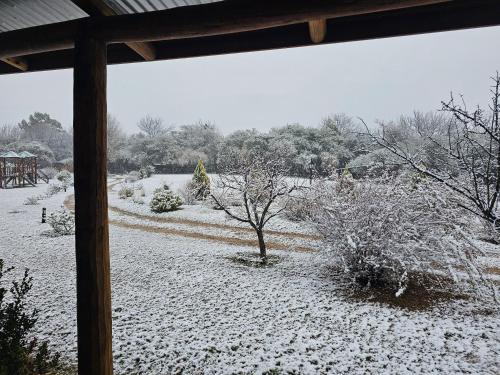 a winter view of a yard with snow on the ground at cabañas Villa de las rosas in Villa de Las Rosas