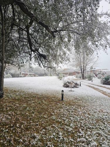 a snow covered yard with a tree and a house at cabañas Villa de las rosas in Villa de Las Rosas