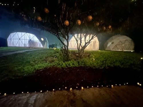 Zahrada ubytování Aldea Hualtepec Glamping