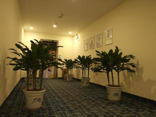 Ο χώρος του λόμπι ή της ρεσεψιόν στο 7 Days Inn Sanhe Yanjiao Yanjin Road