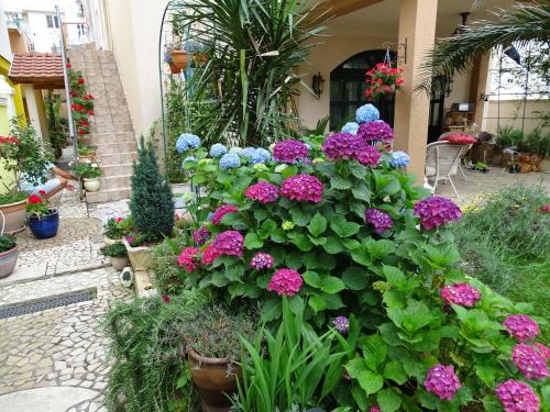 a bunch of colorful flowers in a garden at Apartament - Lisa in Budva