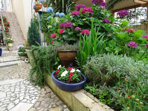 a garden filled with lots of flowers and plants at Apartament - Lisa in Budva