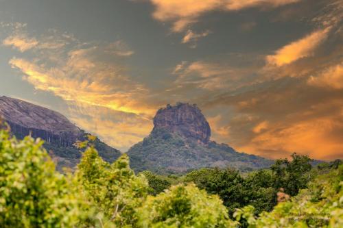 a view of a mountain under a cloudy sky at Tree Trails Sigiriya in Sigiriya