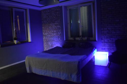 Katil atau katil-katil dalam bilik di Apartament na doby